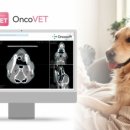 서울동물영상종양센터 이미지