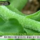 플랜트마케팅