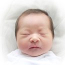 산호동405 이미지