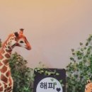 해피누리청북
