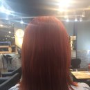 트레보헤어 이미지