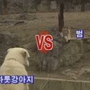 해적왕