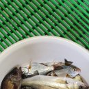 오늘은바다
