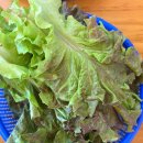백년손님 - 양산시 덕계1길 16-1 | 경주 황리단길맛집 백반 석쇠불고기정식 백년손님 방문후기 웨이팅 주차