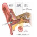 양덕리고인돌 | 四字成語 총정리 345 (고실동굴~고암리고분군)