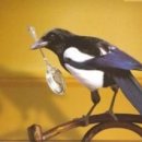 까치자동차 이미지