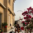 고기구워먹는집 이미지