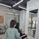 OZ헤어펌