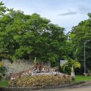 스파마린 (주) | 보홀 숙소 추천! 미티리조트 완벽했던 스파와 호핑투어