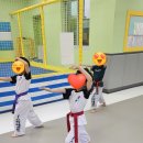 스타 태권도 이미지