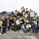 세무법인우송 이미지