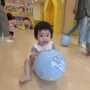 6월 3주, 토리반의 놀이 TIME!☺️ 이미지