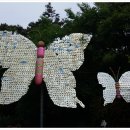 들꽃섬 이미지