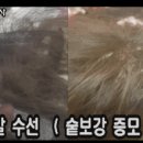 장미수선 - 강서구 까치산로14길 38 | 장미수선