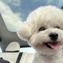 스테이인터뷰 노호 이미지