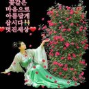 예쁜여우 이미지