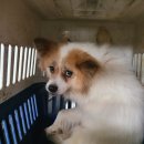 옥길1길 이미지