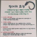 섬섬 참숯 장어