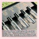 호텔 오 | 올리브영 여자남자여름향수추천 호텔도슨 오 드 퍼퓸 디스커버리 5종 후기