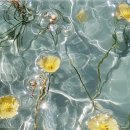 퍼스트탑치과의원 이미지