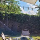 제주마중 협재 이미지