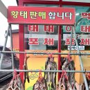 대관령황태이야기 | 강원도 평창 내돈내산 관광버스 성지 황태구이 &#34;황태회관&#34; (feat. 대관령 황태가 유명한 이유)