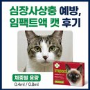 정이캣 | 고양이 심장사상충약, 임팩트액 캣 내돈내산 후기｜먹는 약 실패하고 다시 선택한 이유