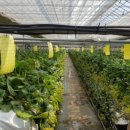 한상기 농장 이미지