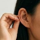 내 몸이 젊어지는 노화방지 스트레칭 | 탈출, 혈액순환과 노화 방지를 위한 전신 감각 깨우기...들이고 회춘하는 비결 총정리, 5년 젊어지는 습관