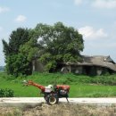 황구지길 이미지