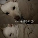 은혜미용샵 | 아맞다 2026년 6월 recap