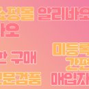 알리바오 네이버블로그