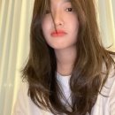 GS25 뮤비페에서 원소주 사장님 만난 썰 #블챌 #주간일기