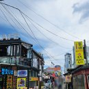 단천식당 | 속초 아바이순대 맛집, 주차부터 음식까지 이색적인 청호동 맛집 속초 단천식당 후기