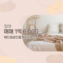 해드림공인중개사사무소 이미지