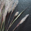 간식꺼리 이미지