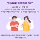 세종연합행정사사무소 | 2025년 10월 10일 새로이 통해 알게 된 것들