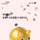 꽃돼지 - 홍성군 월산1길 6 | 꽃돼지