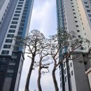 솔부동산중개사무소 이미지