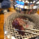 부산곰장어 이미지