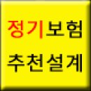 35세 남성 미혼 정기보험과 실비보험 설계 조언 부탁 드립니다. 이미지