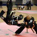 선호 합기도 이미지