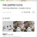 소셜백향 이미지