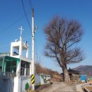 유곡면사무소 이미지