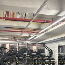 거목유도관 이미지