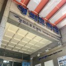 영희초등학교영희문화관 네이버블로그