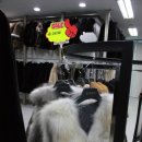 진성코퍼레이션 이미지