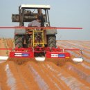 용화축산 이미지