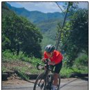 봉전1리 이미지