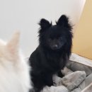 조이풀데이 광명역점 이미지